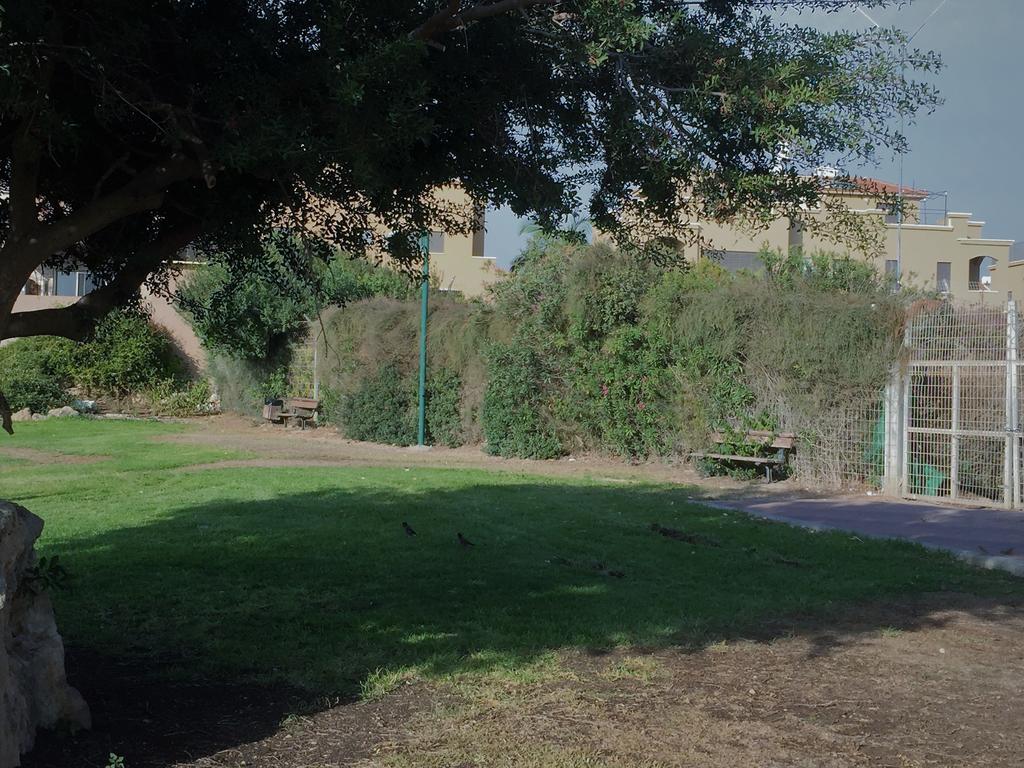 2 Bedroom Apartment In Atlit, Haifa District Dış mekan fotoğraf