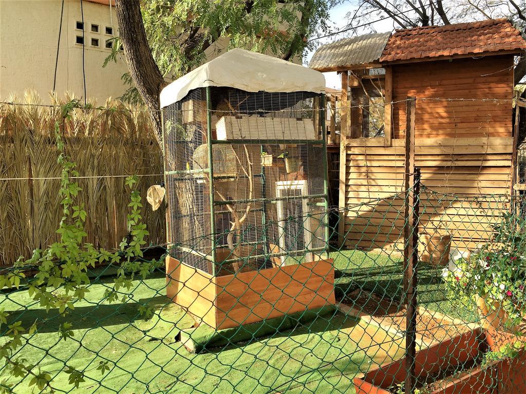 2 Bedroom Apartment In Atlit, Haifa District Dış mekan fotoğraf